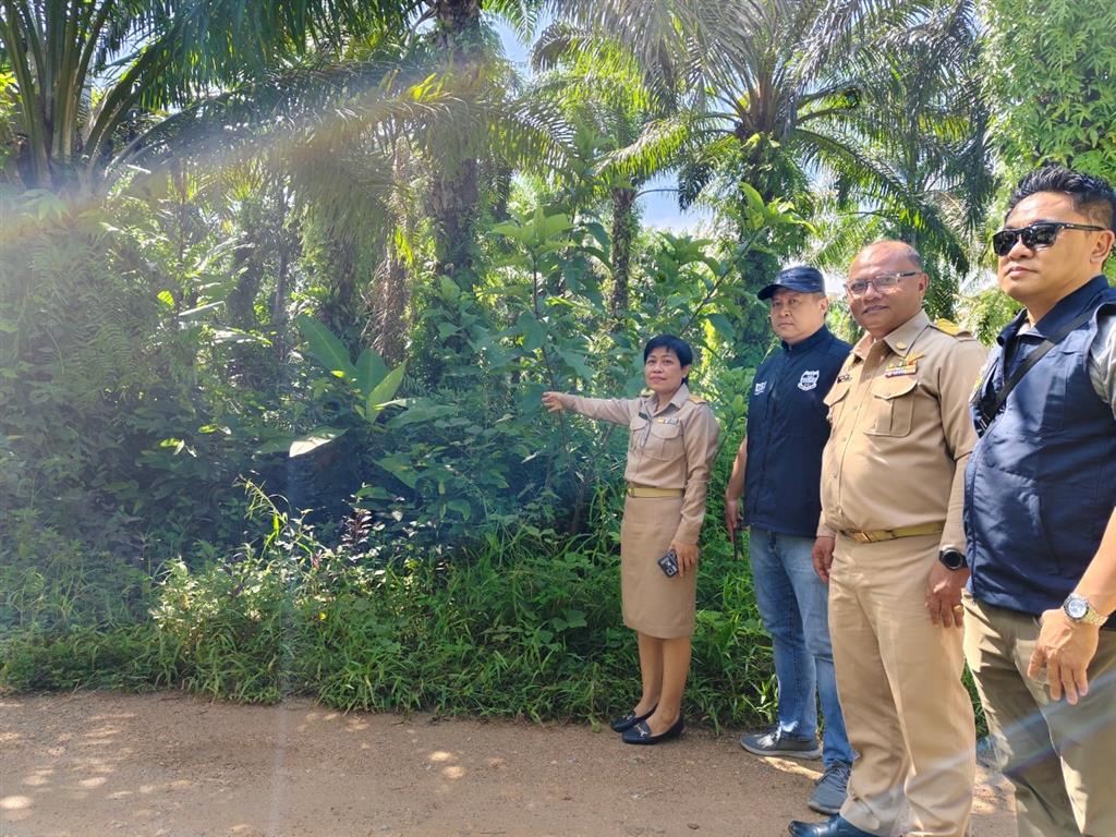 DSI collaborated with administrative officials from Plai Phraya District and officers from Ao Luek Cooperative Settlement to conduct a field inspection regarding the case of illegal encroachment and occupation of over 700 rai of land within the Ao Luek Cooperative Settlement